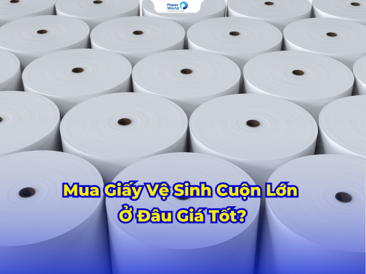 Mua Giấy Vệ Sinh Cuộn Lớn Ở Đâu Giá Tốt?