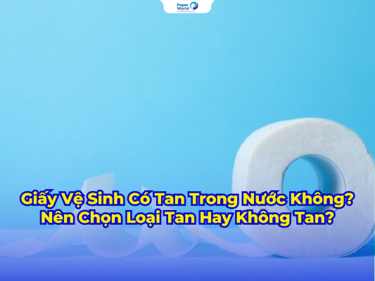 Giấy Vệ Sinh Có Tan Trong Nước Không? Nên Chọn Loại Tan Hay Không Tan?