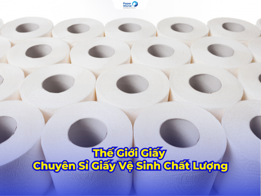 Thế Giới Giấy Chuyên Sỉ Giấy Vệ Sinh Chất Lượng