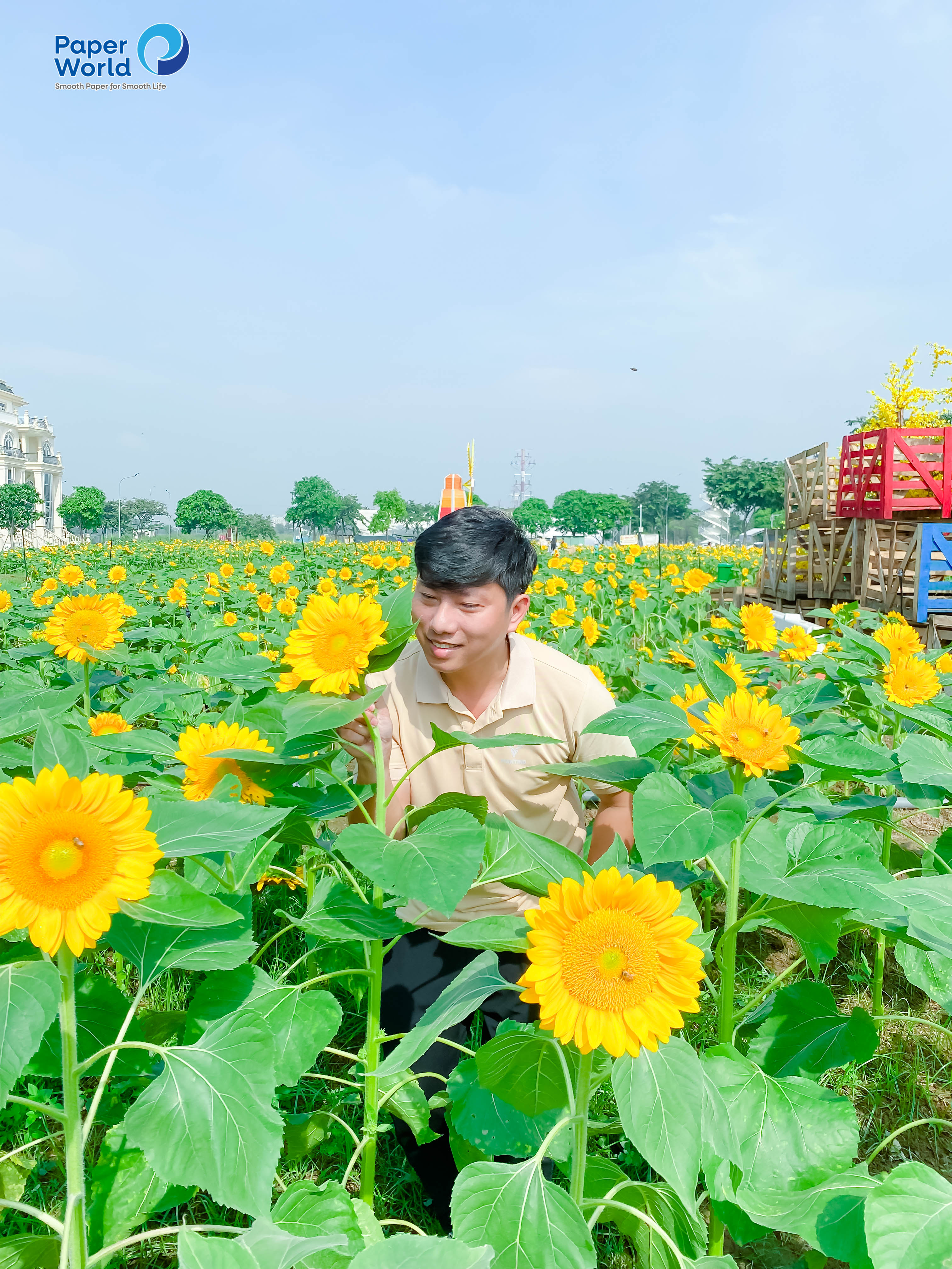 Vườn hoa hướng dương Thủ Đức