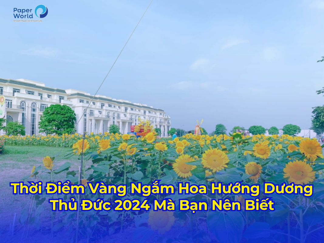 vườn hoa hướng dương thủ đức 2024